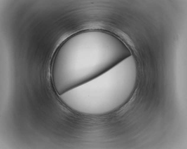 X0000111671226200907171437