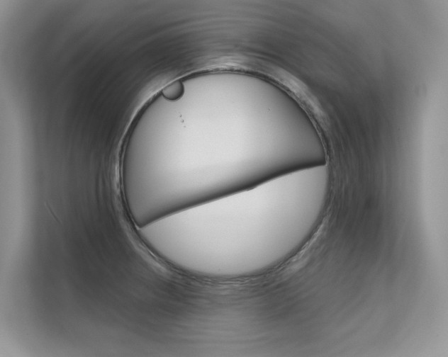 X0000111671234200907171437