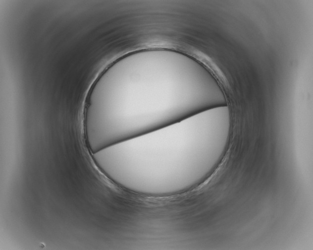 X0000111671236200907171437