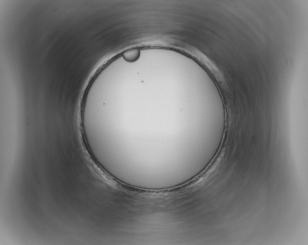 X0000111671240200907171437