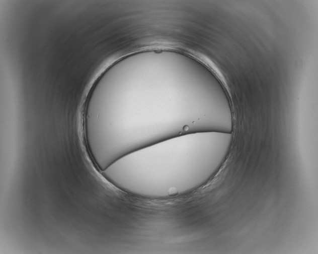 X0000111671243200907171438