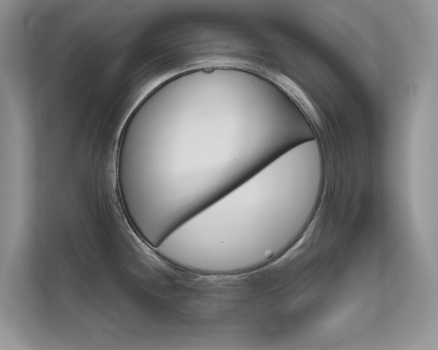 X0000111671244200907171438