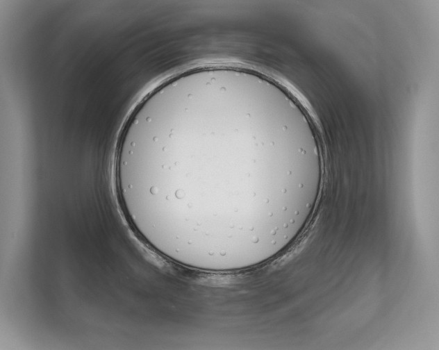 X0000111671245200907171438