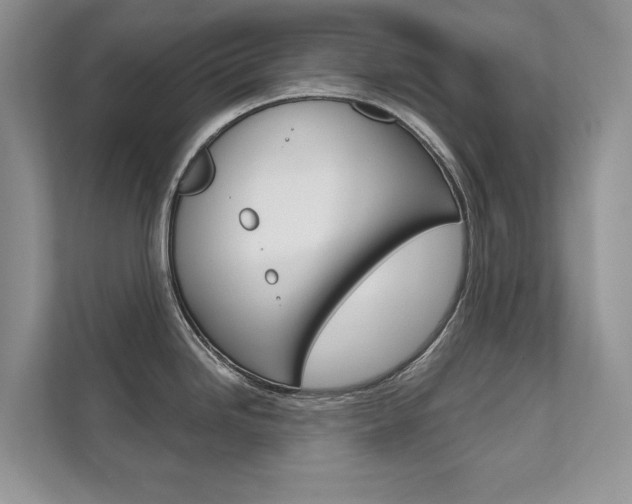 X0000111671246200907171438
