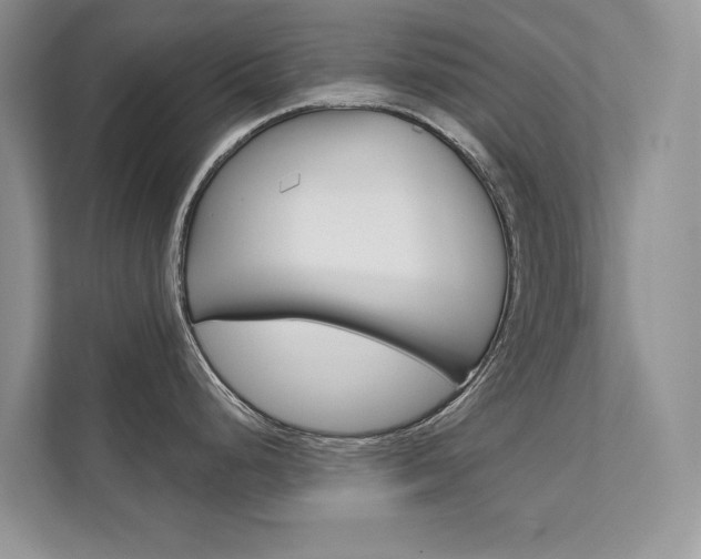 X0000111671248200907171438