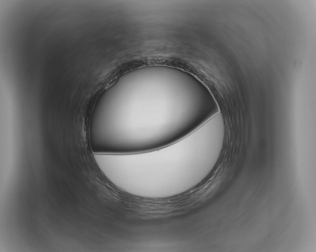 X0000111671252200907171437