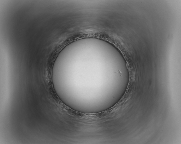 X0000111671253200907171437