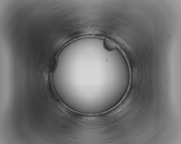 X0000111671257200907171437
