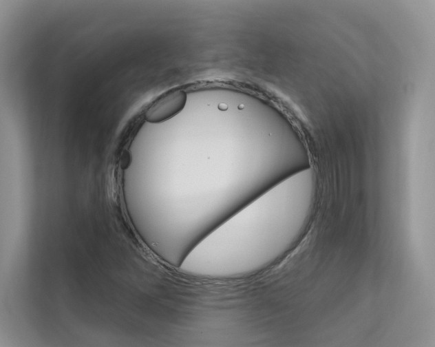X0000111671262200907171437