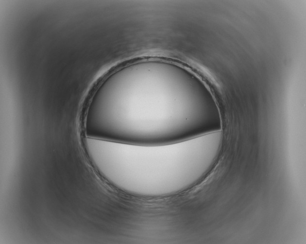 X0000111671264200907171437