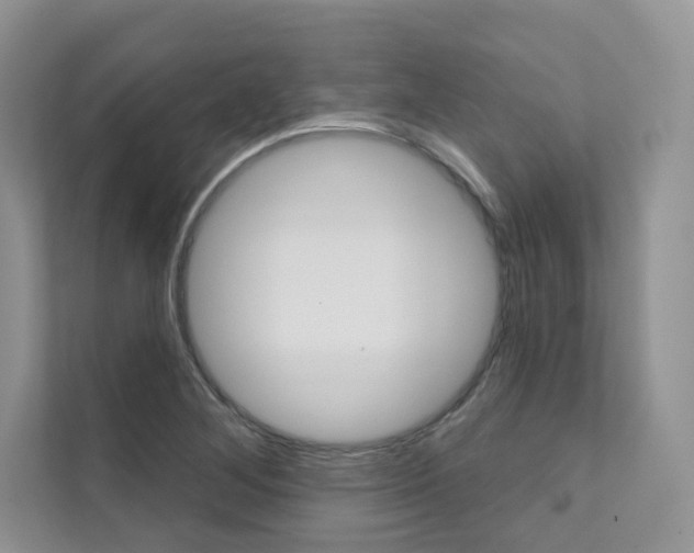X0000111671268200907171437