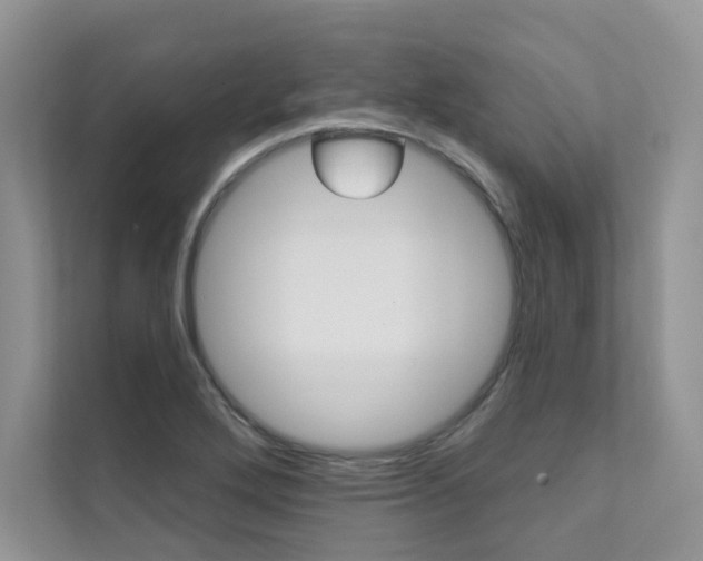 X0000111671272200907171437