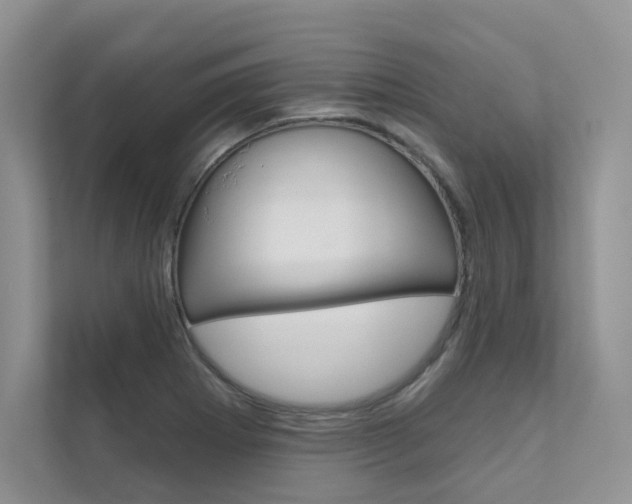 X0000111671273200907171437