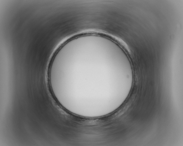 X0000111671279200907171437