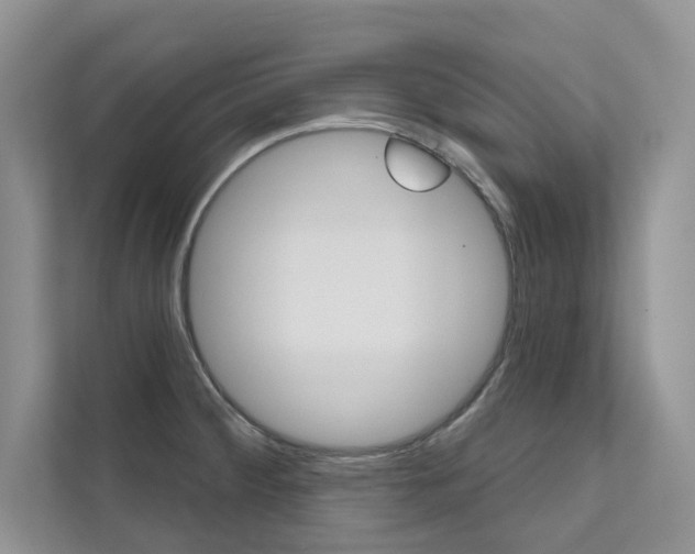 X0000111671284200907171437