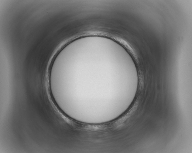 X0000111671286200907171436