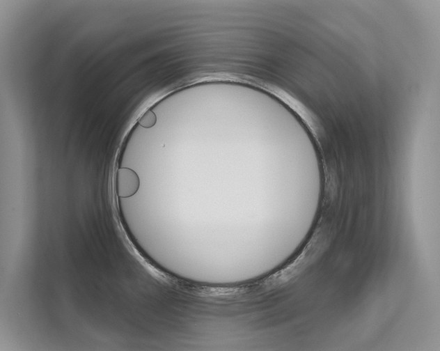 X0000111671290200907171436