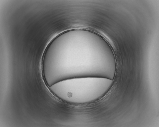 X0000111671291200907171436