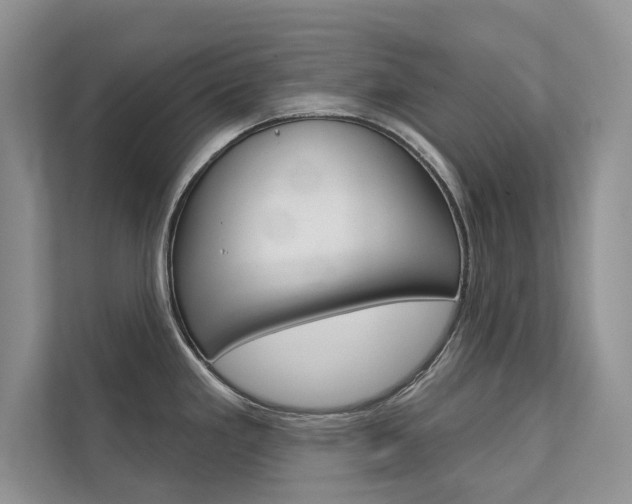 X0000111671293200907171436