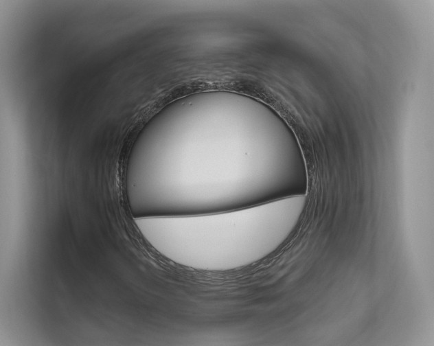 X0000111671298200907171436