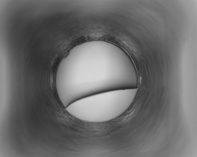 X0000111671299200907171436