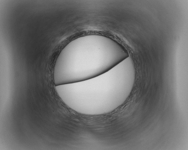 X0000111671303200907171436
