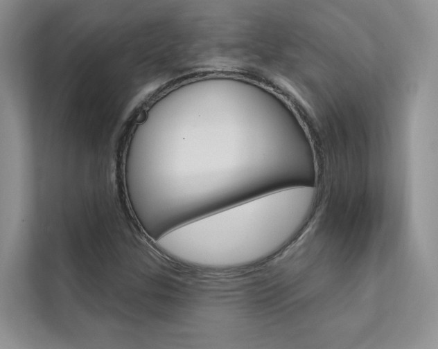 X0000111671307200907171436