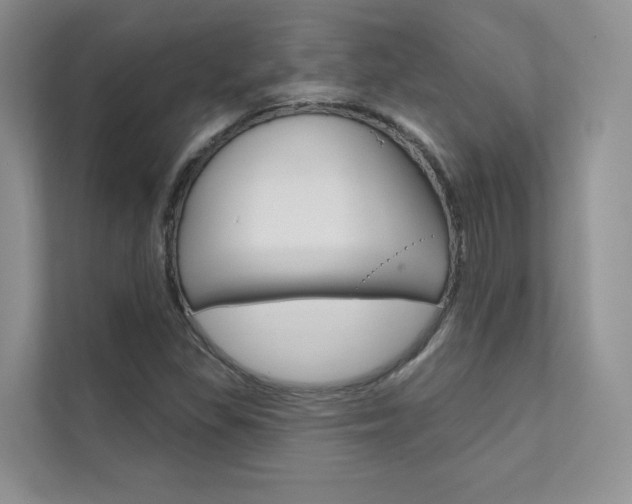 X0000111671309200907171436