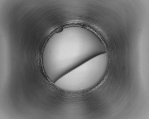 X0000111671313200907171436