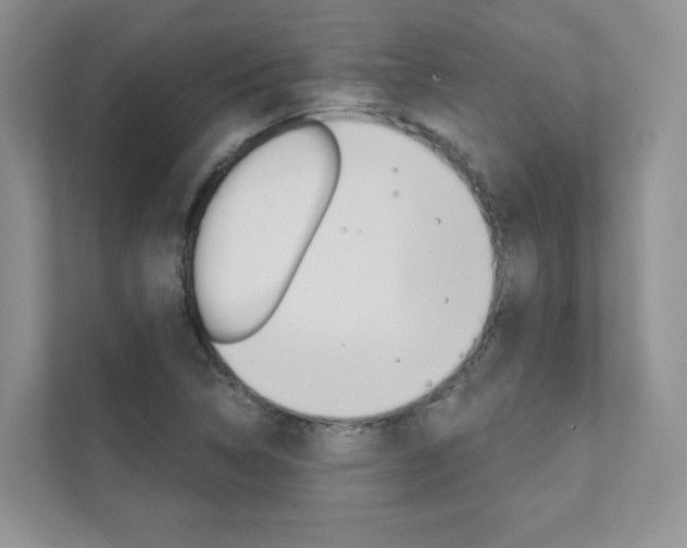 X0000111671314200907171436