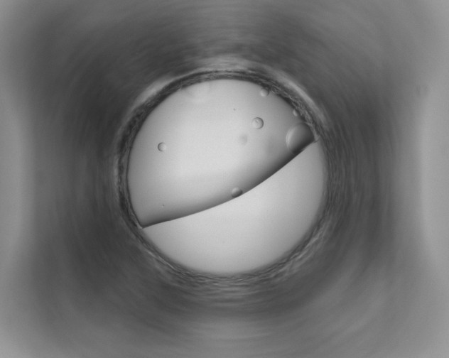 X0000111671315200907171436