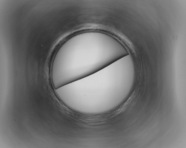 X0000111671318200907171436