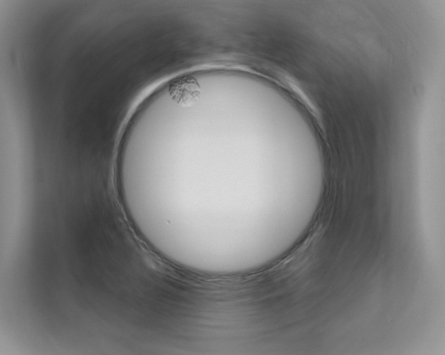 X0000111671320200907171436