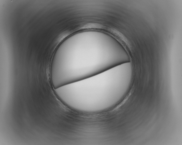 X0000111671321200907171436