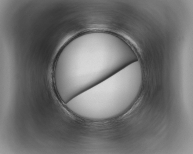 X0000111671325200907171436