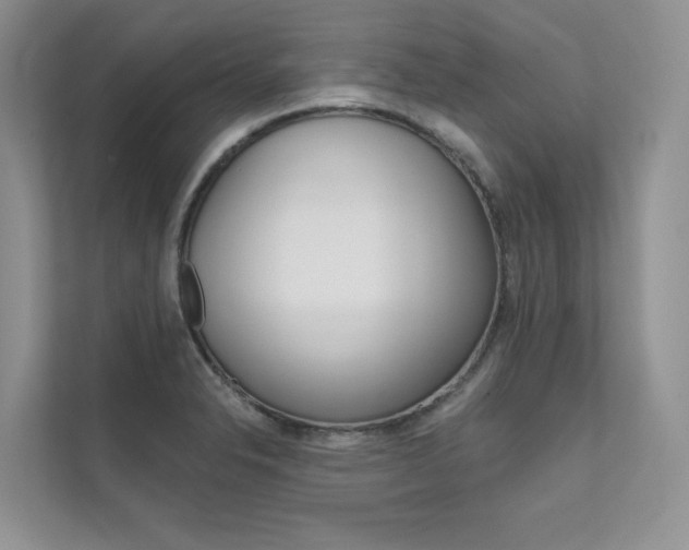X0000111671326200907171436
