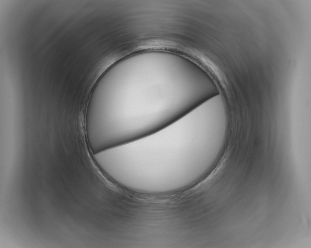 X0000111671329200907171436