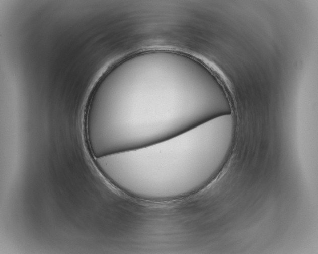 X0000111671333200907171436