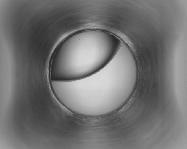X0000111671334200907171436
