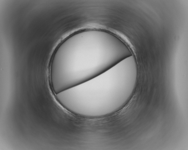 X0000111671335200907171436