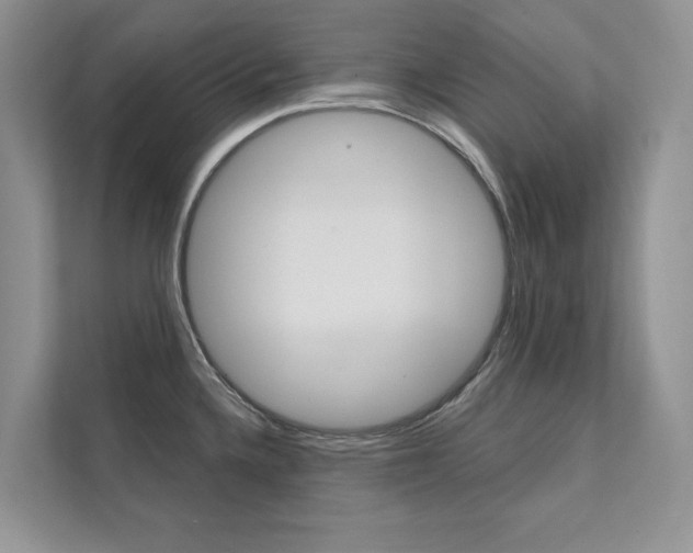 X0000111671336200907171436