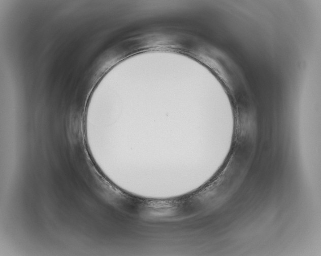 X0000111671338200907171436