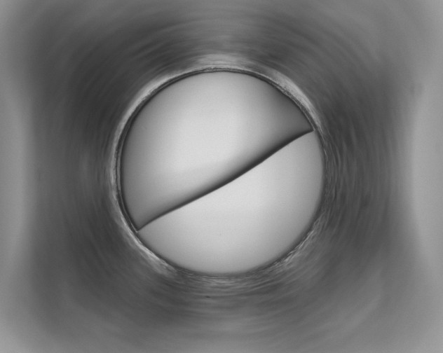 X0000111671339200907171436