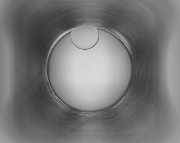 X0000111671340200907171436