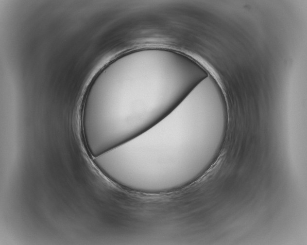 X0000111671341200907171436