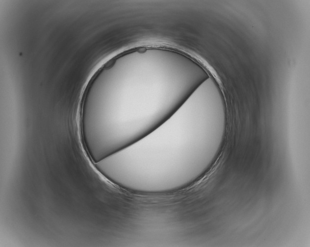 X0000111671343200907171436