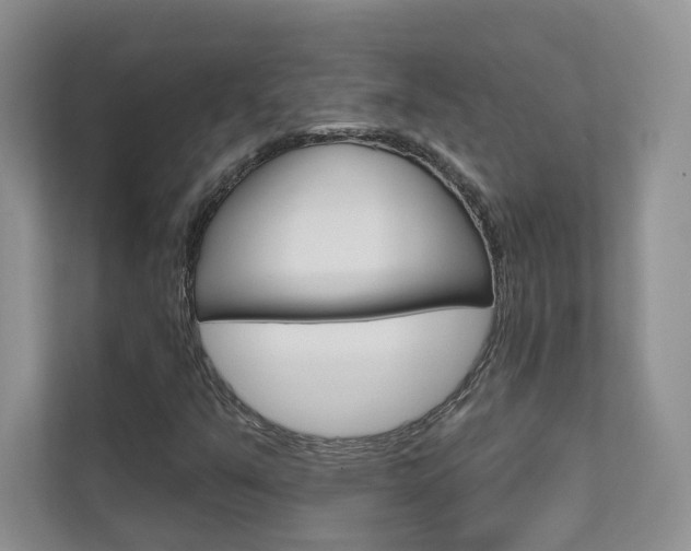 X0000111671351200907171436