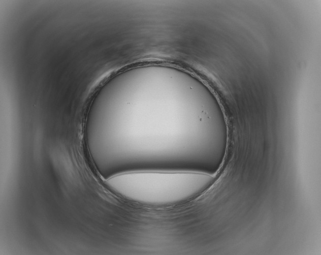 X0000111671355200907171436
