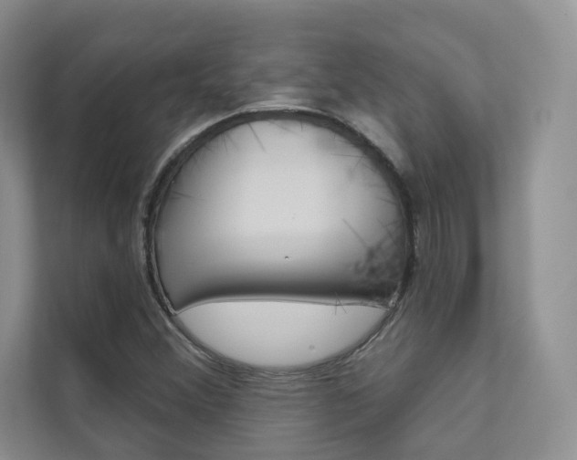 X0000111671356200907171436