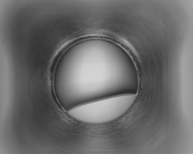 X0000111671360200907171436